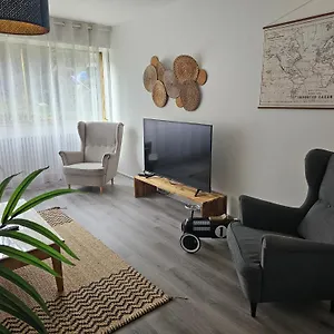 F4 Rue Borie Saint-Etienne (Loire)